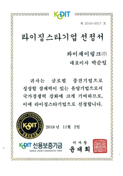 Certificate of Rising Star Company